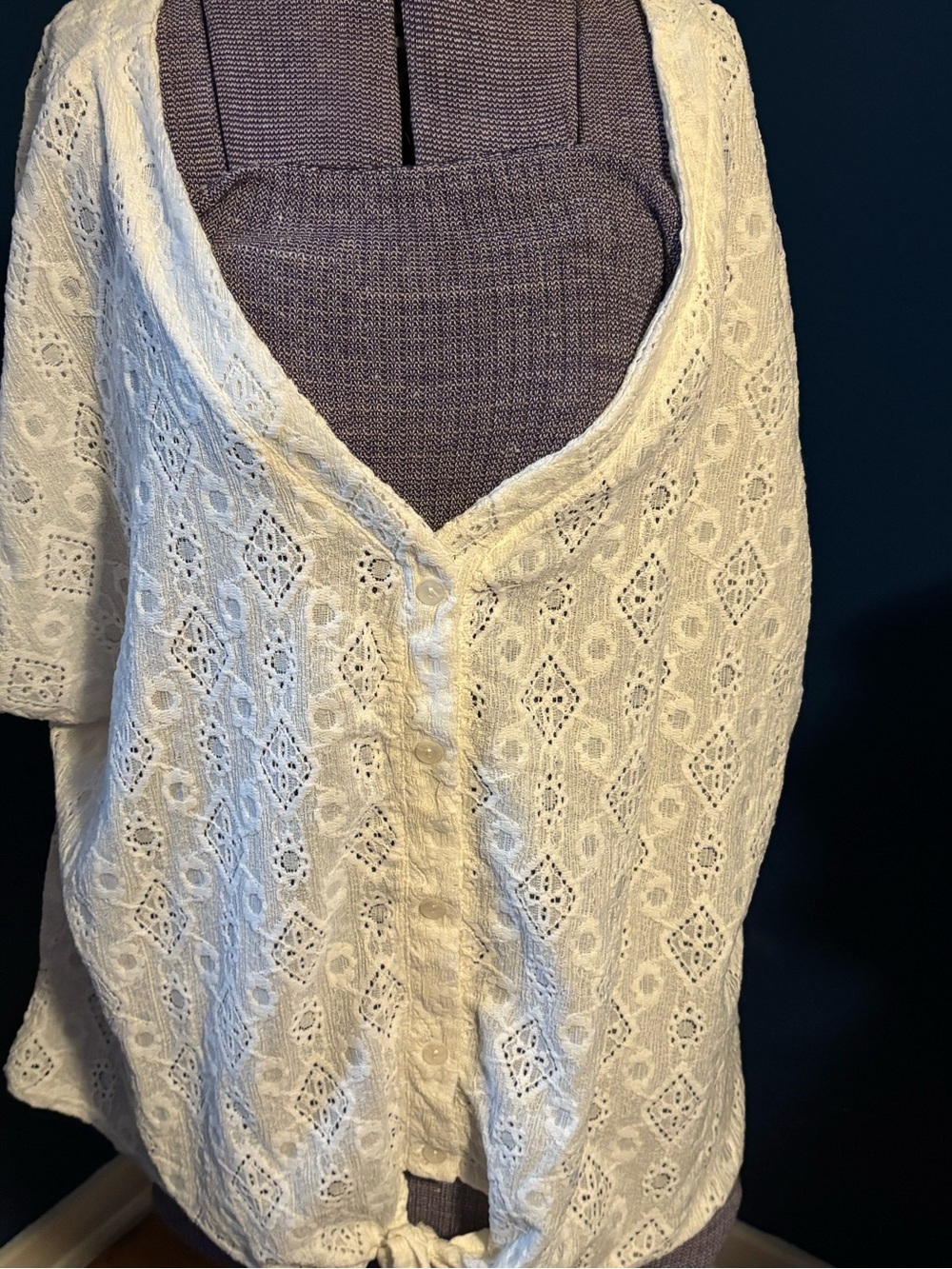 French Laundry Cream Lace Button-Front Blouse